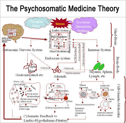 Psychosomatic Chart